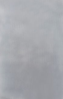Swatch image for 421 satin chrome